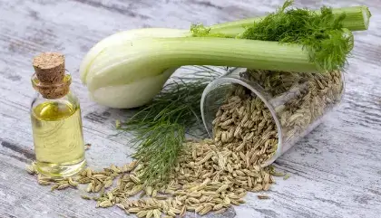 fennel-seed